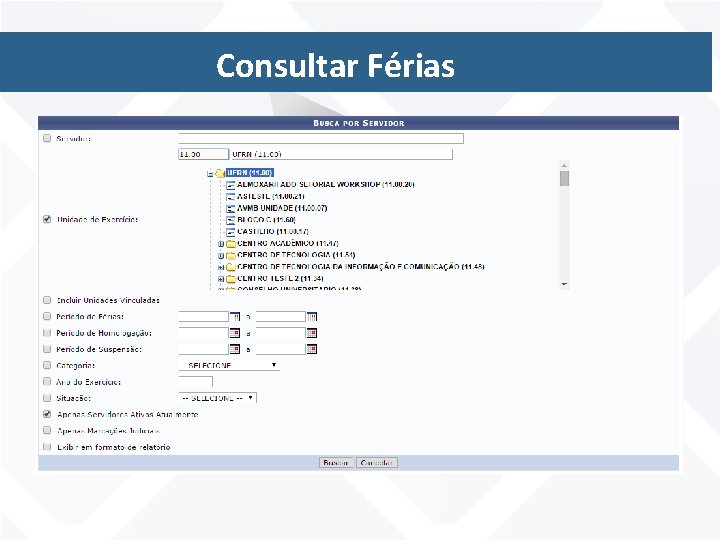 Fluxo Sugerido Consultar - Passos Férias 