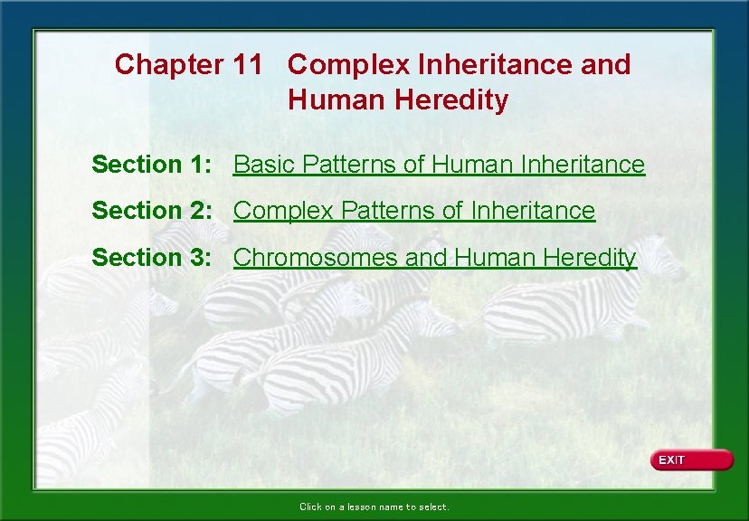 Chapter 11 Complex Inheritance and Human Heredity Section 1: Basic Patterns of Human Inheritance Chapter 11 Complex Inheritance and Human Heredity Section 1: Basic Patterns of Human Inheritance