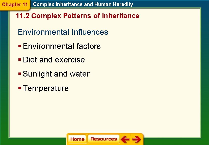 Chapter 11 Complex Inheritance and Human Heredity 11. 2 Complex Patterns of Inheritance Environmental Chapter 11 Complex Inheritance and Human Heredity 11. 2 Complex Patterns of Inheritance Environmental