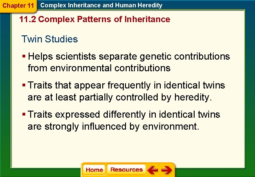 Chapter 11 Complex Inheritance and Human Heredity 11. 2 Complex Patterns of Inheritance Twin Chapter 11 Complex Inheritance and Human Heredity 11. 2 Complex Patterns of Inheritance Twin