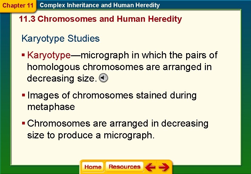 Chapter 11 Complex Inheritance and Human Heredity 11. 3 Chromosomes and Human Heredity Karyotype Chapter 11 Complex Inheritance and Human Heredity 11. 3 Chromosomes and Human Heredity Karyotype