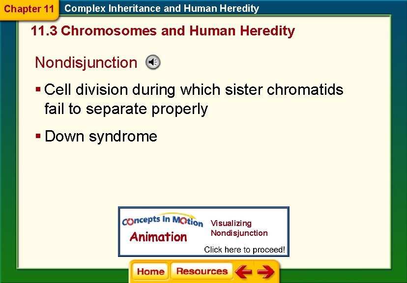 Chapter 11 Complex Inheritance and Human Heredity 11. 3 Chromosomes and Human Heredity Nondisjunction Chapter 11 Complex Inheritance and Human Heredity 11. 3 Chromosomes and Human Heredity Nondisjunction