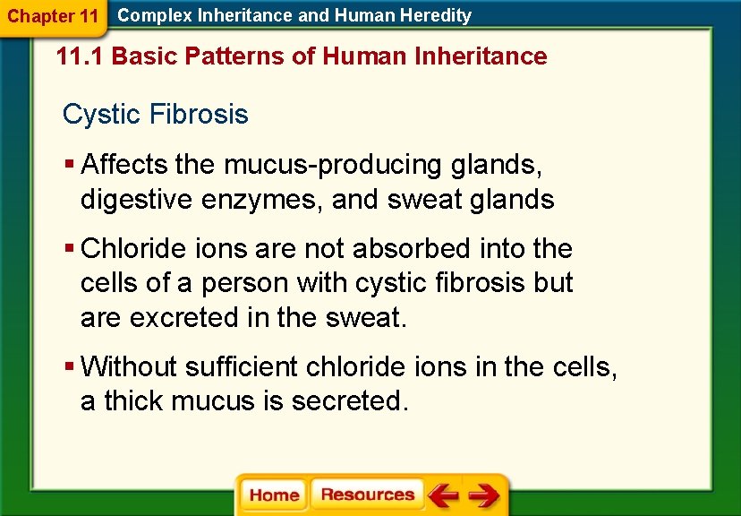 Chapter 11 Complex Inheritance and Human Heredity 11. 1 Basic Patterns of Human Inheritance Chapter 11 Complex Inheritance and Human Heredity 11. 1 Basic Patterns of Human Inheritance