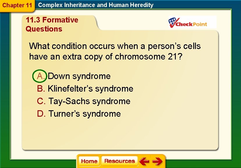 Chapter 11 Complex Inheritance and Human Heredity 11. 3 Formative Questions What condition occurs Chapter 11 Complex Inheritance and Human Heredity 11. 3 Formative Questions What condition occurs
