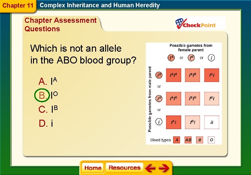 Chapter 11 Complex Inheritance and Human Heredity Chapter Assessment Questions Which is not an Chapter 11 Complex Inheritance and Human Heredity Chapter Assessment Questions Which is not an