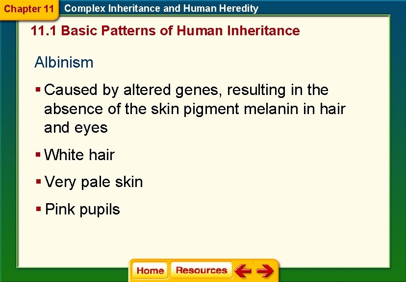 Chapter 11 Complex Inheritance and Human Heredity 11. 1 Basic Patterns of Human Inheritance Chapter 11 Complex Inheritance and Human Heredity 11. 1 Basic Patterns of Human Inheritance