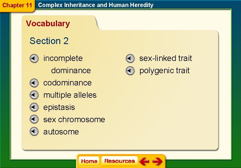 Chapter 11 Complex Inheritance and Human Heredity Vocabulary Section 2 incomplete sex-linked trait dominance Chapter 11 Complex Inheritance and Human Heredity Vocabulary Section 2 incomplete sex-linked trait dominance
