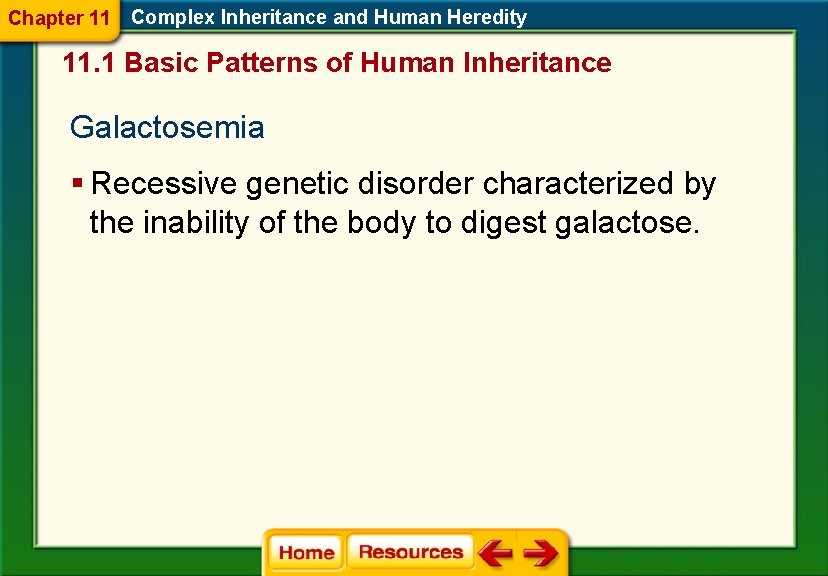 Chapter 11 Complex Inheritance and Human Heredity 11. 1 Basic Patterns of Human Inheritance Chapter 11 Complex Inheritance and Human Heredity 11. 1 Basic Patterns of Human Inheritance