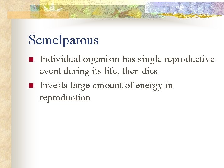 Semelparous n n Individual organism has single reproductive event during its life, then dies