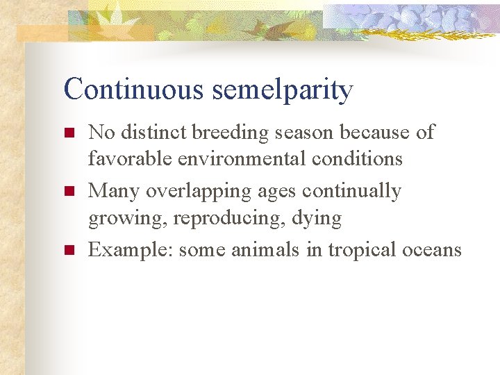 Continuous semelparity n n n No distinct breeding season because of favorable environmental conditions