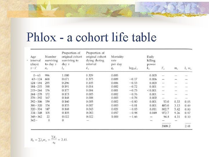 Phlox - a cohort life table 