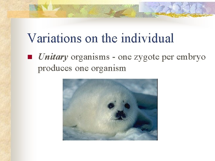 Variations on the individual n Unitary organisms - one zygote per embryo produces one