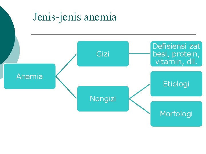 Jenis-jenis anemia Gizi Anemia Defisiensi zat besi, protein, vitamin, dll. Etiologi Nongizi Morfologi 