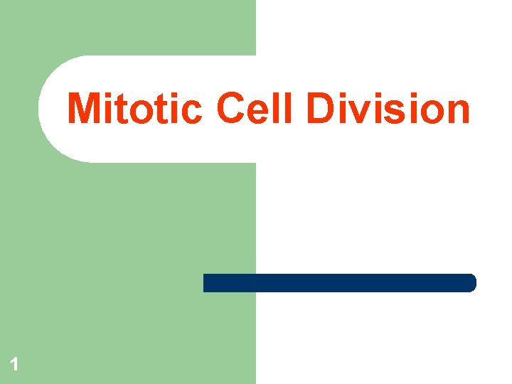 Mitotic Cell Division 1 