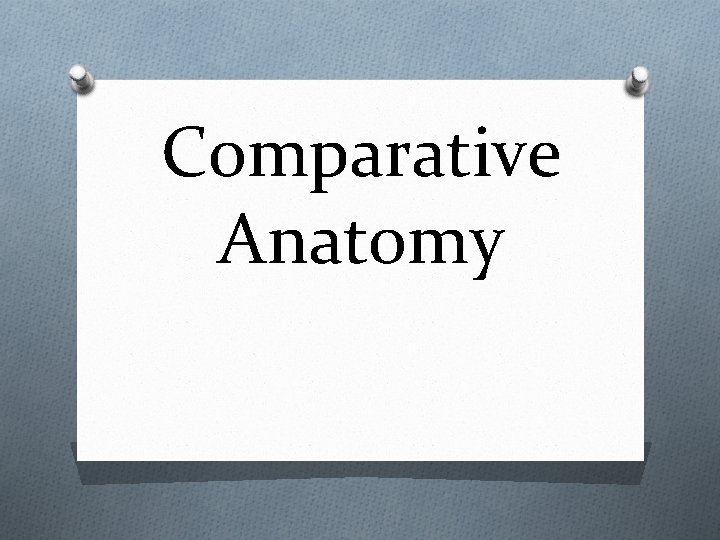 Comparative Anatomy 