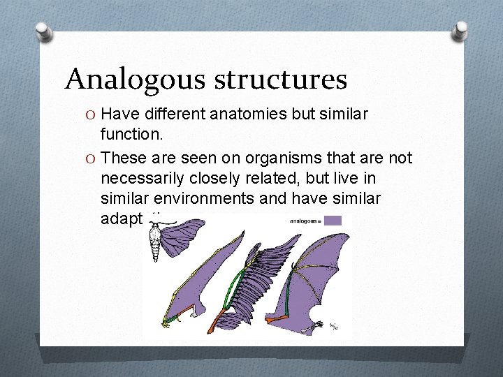 Analogous structures O Have different anatomies but similar function. O These are seen on