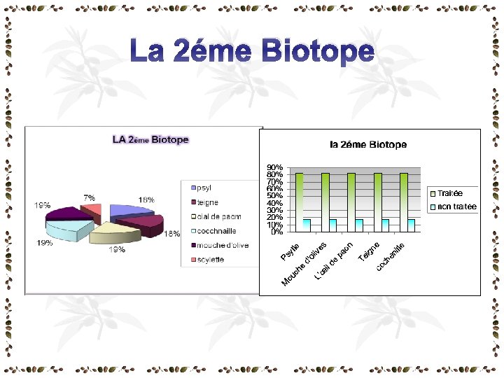 La 2éme Biotope La 2éme Biotope
