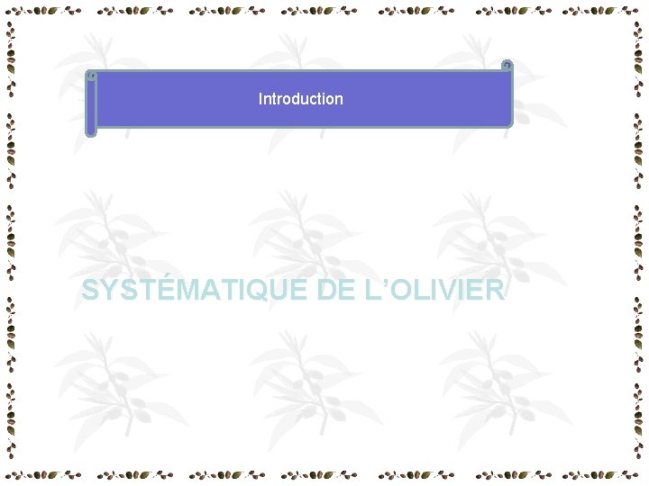 Introduction SYSTÉMATIQUE DE L’OLIVIER Introduction SYSTÉMATIQUE DE L’OLIVIER