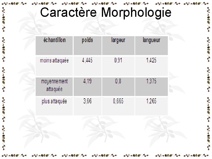 Caractère Morphologie Caractère Morphologie