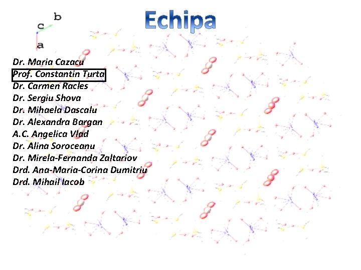 Dr. Maria Cazacu Prof. Constantin Turta Dr. Carmen Racles Dr. Sergiu Shova Dr. Mihaela