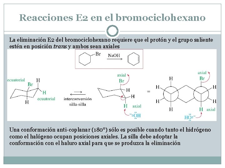 Reacciones E 2 en el bromociclohexano La eliminación E 2 del bromociclohexano requiere que
