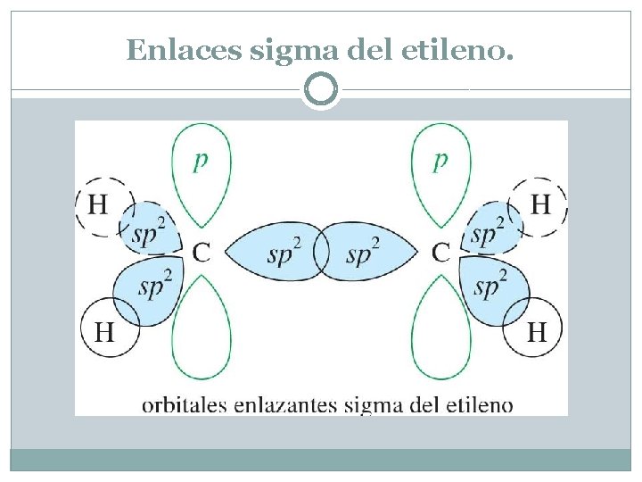 Enlaces sigma del etileno. 