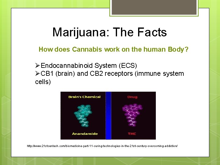  Marijuana: The Facts How does Cannabis work on the human Body? ØEndocannabinoid System