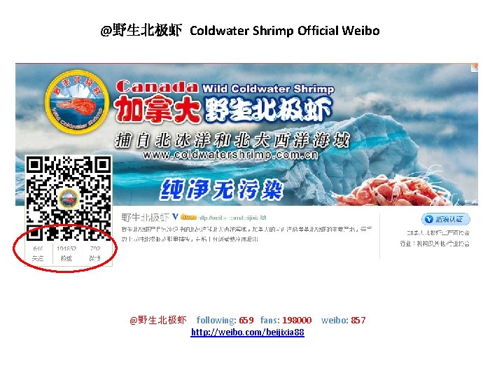 @野生北极虾 Coldwater Shrimp Official Weibo @野生北极虾 following: 659 fans: 198000 http: //weibo. com/beijixia 88