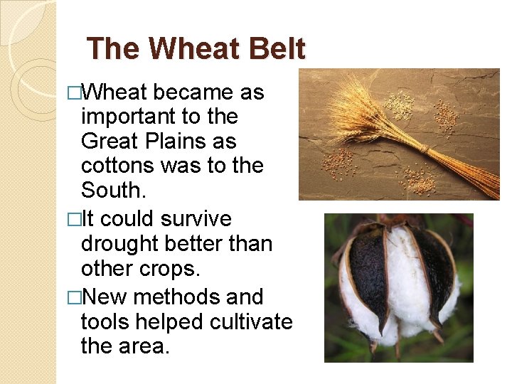 The Wheat Belt �Wheat became as important to the Great Plains as cottons was