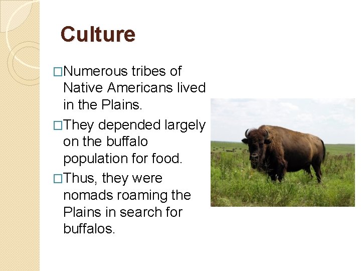 Culture �Numerous tribes of Native Americans lived in the Plains. �They depended largely on