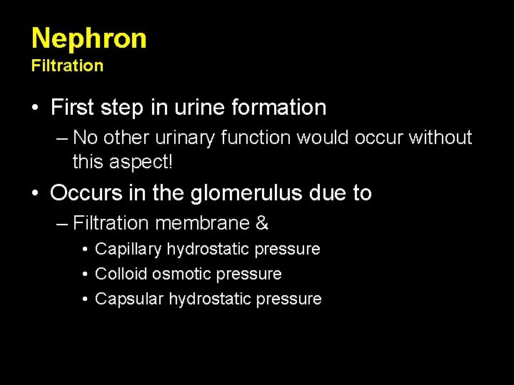 Nephron Filtration • First step in urine formation – No other urinary function would