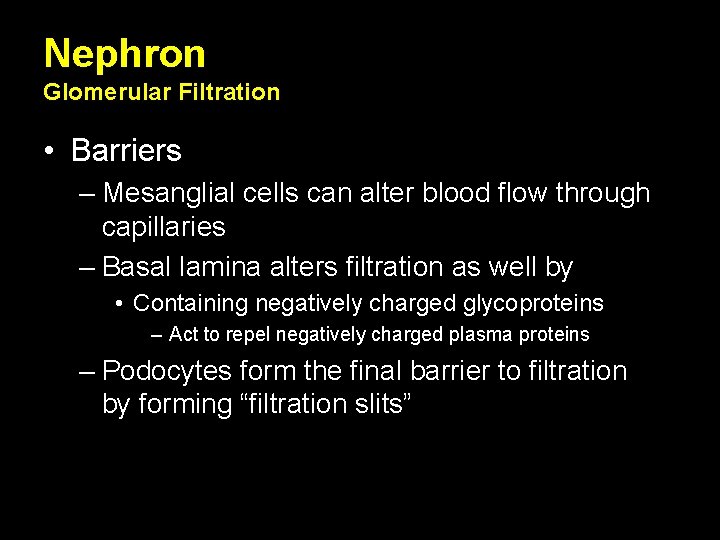 Nephron Glomerular Filtration • Barriers – Mesanglial cells can alter blood flow through capillaries