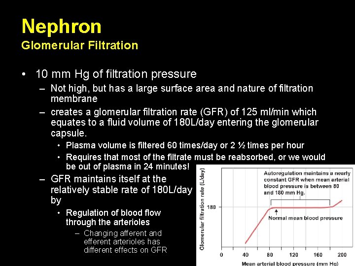 Nephron Glomerular Filtration • 10 mm Hg of filtration pressure – Not high, but