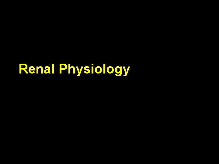 Renal Physiology 