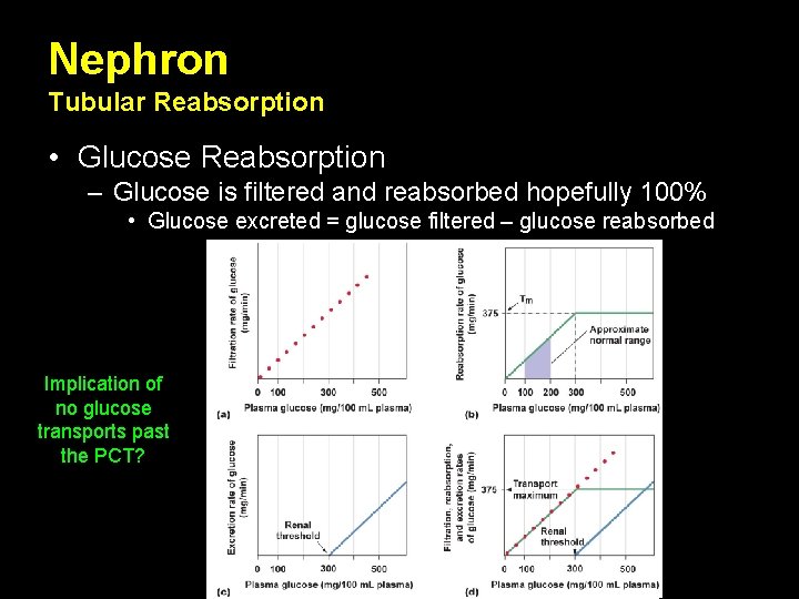 Nephron Tubular Reabsorption • Glucose Reabsorption – Glucose is filtered and reabsorbed hopefully 100%