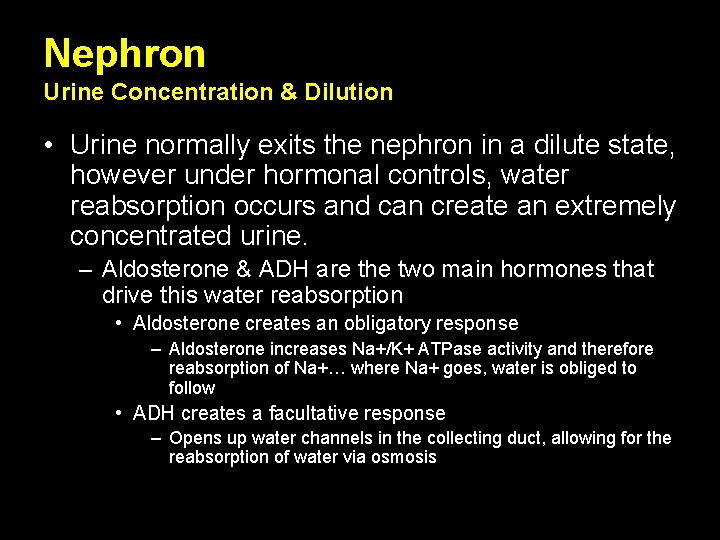 Nephron Urine Concentration & Dilution • Urine normally exits the nephron in a dilute