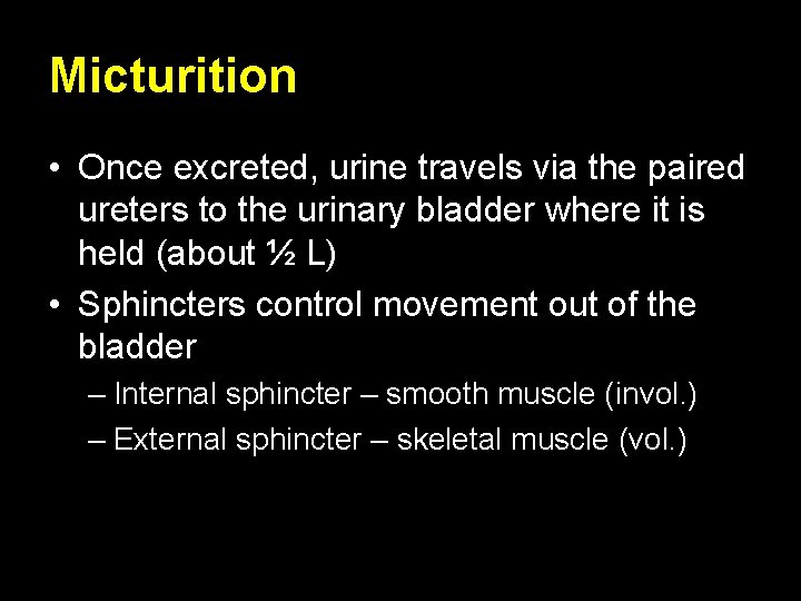 Micturition • Once excreted, urine travels via the paired ureters to the urinary bladder