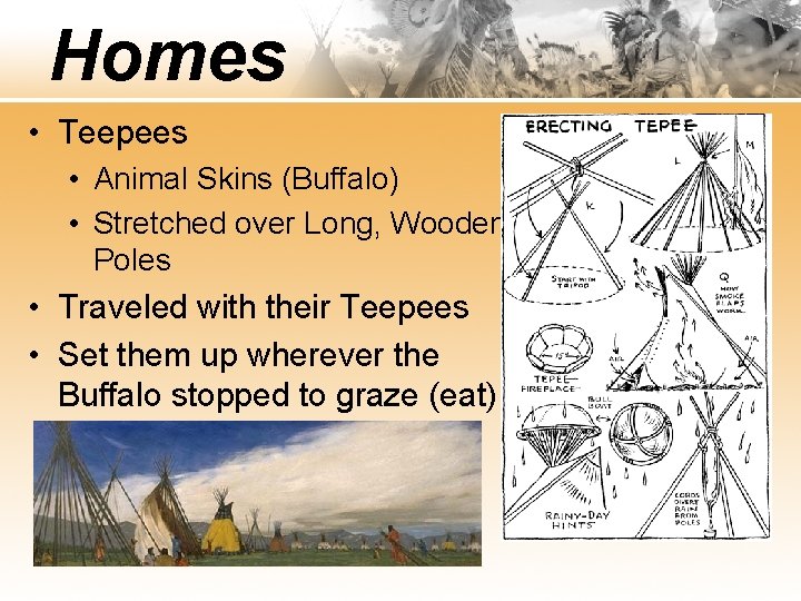 Homes • Teepees • Animal Skins (Buffalo) • Stretched over Long, Wooden Poles •