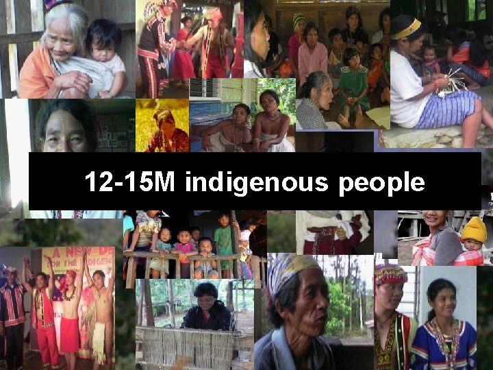 12 -15 M indigenous people 12 -15 M indigenous people
