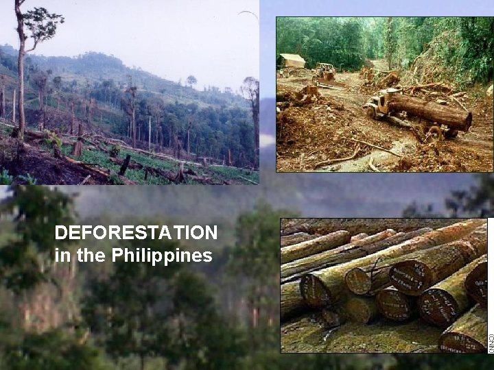 DEFORESTATION in the Philippines DEFORESTATION in the Philippines