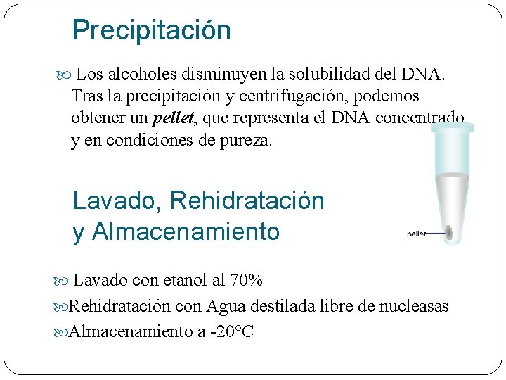 Precipitación Los alcoholes disminuyen la solubilidad del DNA. Tras la precipitación y centrifugación, podemos