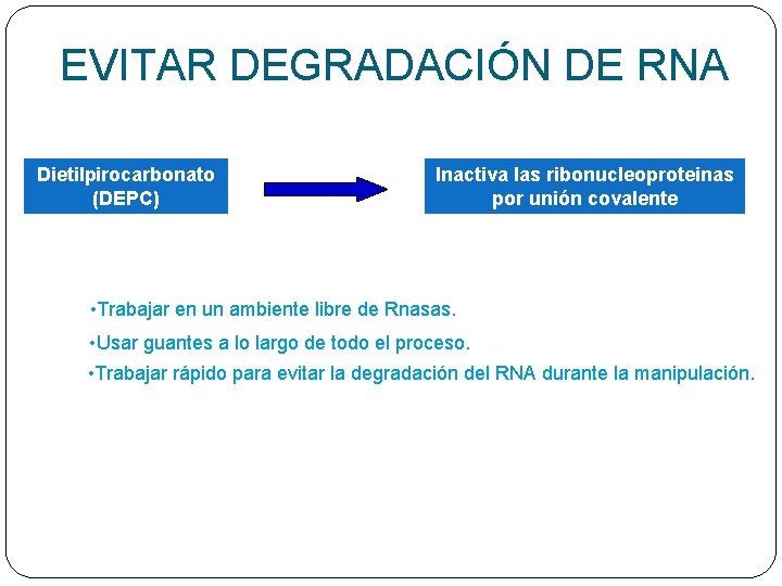 EVITAR DEGRADACIÓN DE RNA Dietilpirocarbonato (DEPC) Inactiva las ribonucleoproteinas por unión covalente • Trabajar
