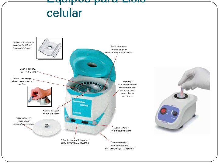 Equipos para Lisis celular 