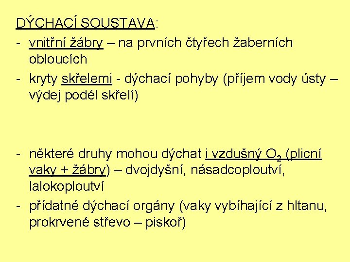 DÝCHACÍ SOUSTAVA: - vnitřní žábry – na prvních čtyřech žaberních obloucích - kryty skřelemi