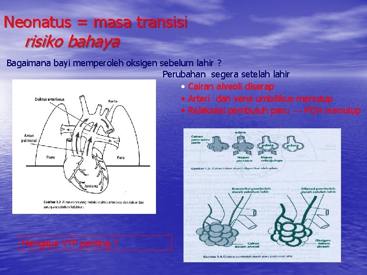 Neonatus = masa transisi risiko bahaya Bagaimana bayi memperoleh oksigen sebelum lahir ? Perubahan