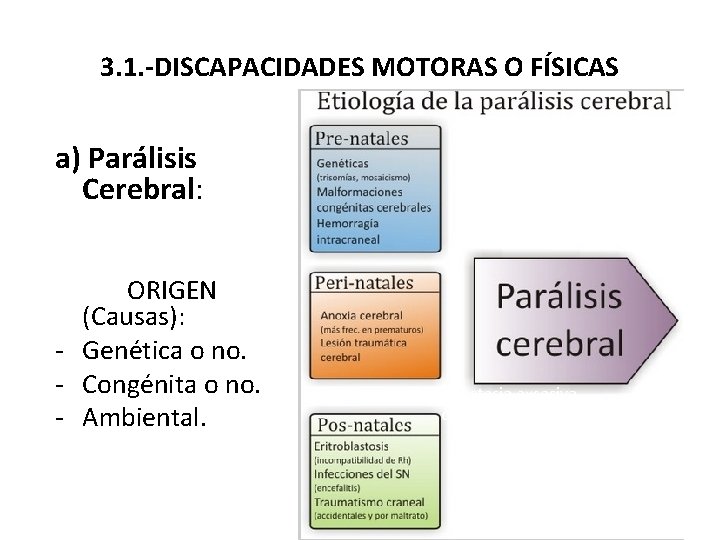 3. 1. -DISCAPACIDADES MOTORAS O FÍSICAS a) Parálisis Cerebral: ORIGEN (Causas): - Genética o