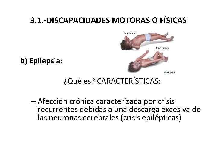 3. 1. -DISCAPACIDADES MOTORAS O FÍSICAS b) Epilepsia: ¿Qué es? CARACTERÍSTICAS: – Afección crónica