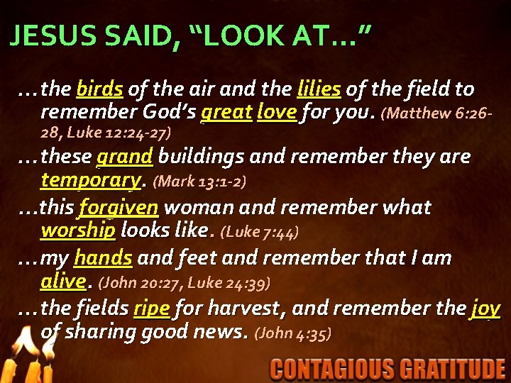 JESUS SAID, “LOOK AT…” …the birds of the air and the lilies of the