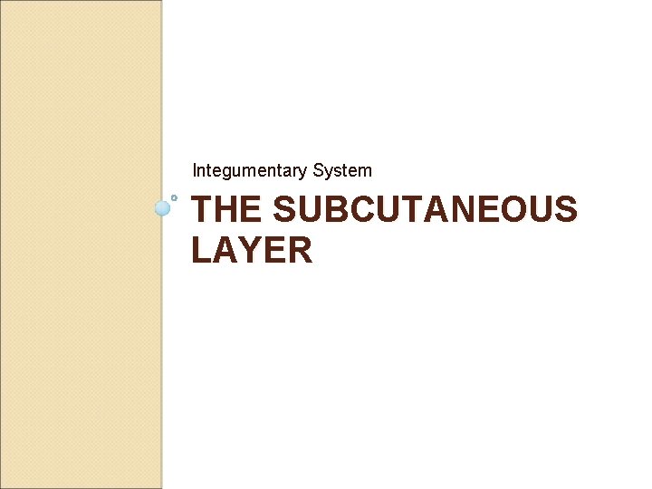 Integumentary System THE SUBCUTANEOUS LAYER 
