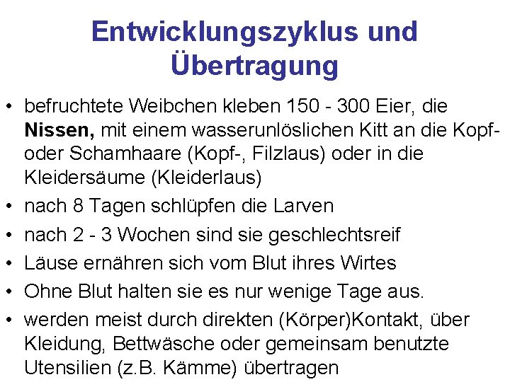 Entwicklungszyklus und Übertragung • befruchtete Weibchen kleben 150 - 300 Eier, die Nissen, mit